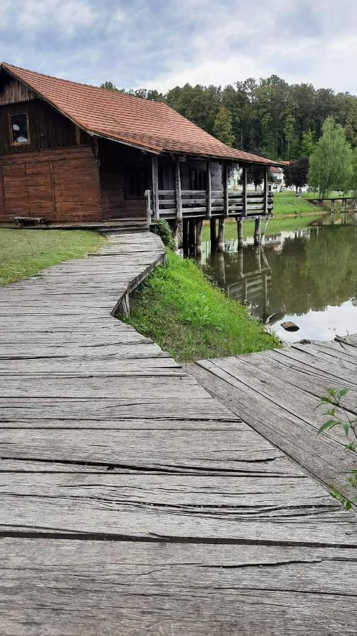 Apartman Abramovic Topusko Exterior foto